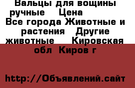 Вальцы для вощины ручные  › Цена ­ 10 000 - Все города Животные и растения » Другие животные   . Кировская обл.,Киров г.